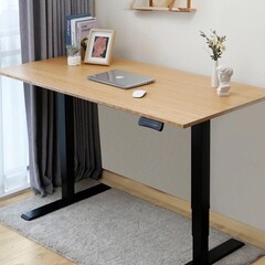 The Pro Series electric standing desk from Flexispot. Image via Flexispot
