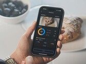 The Zepp App Food Log feature (pictured) has been improved. (Image source: Zepp Health)