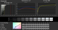 CalMAN grayscale (calibrated)