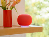 The Google Home Speaker in Berry. (Image source: Google)