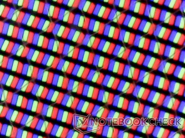 Standard RGB subpixel for comparison