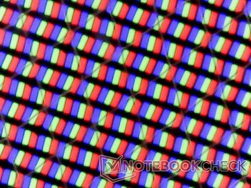Standard RGB subpixel for comparison