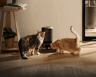 Petlibro smart pet feeder. Some units are unable to dispense food due to the outage.