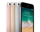 No spiritual successor to the iPhone SE this quarter, folks. (Image source: Apple)