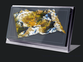 3D images without special glasses are now a reality. (Image Source: Looking Glass Factory)