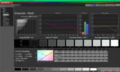 Grayscale before calibration (vs. P3)