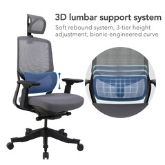 The lumbar support is permanently attached, but its height can be adjusted.