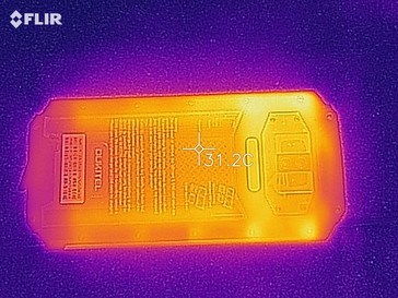 Heat map - back