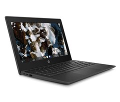 HP Chromebook 11 G9 Education Edition now comes with MediaTek and Celeron options (Source: HP)