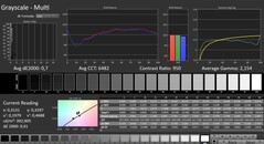 CalMAN: Grayscale (calibrated)