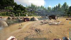 Ark Survival Evolved