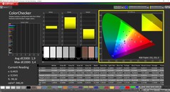 CalMAN ColorChecker (Native profile, P3 target color space)