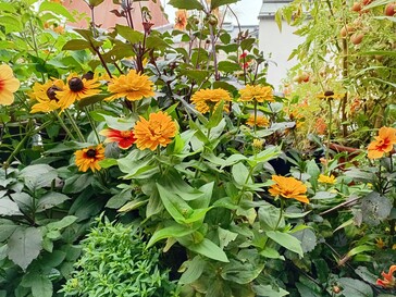 Photo taken with the Samsung Galaxy A06