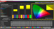 CalMAN color accuracy – professional sRGB