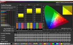 CalMAN - color accuracy (standard, standard, sRGB)