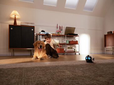 Pet companion 