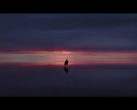 Huawei teases the Mate XT. (Image source: Huawei)