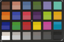 ColorChecker Passport: The target color is displayed in the bottom half of each field.