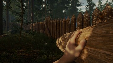 An image showing a wall in The Forest.