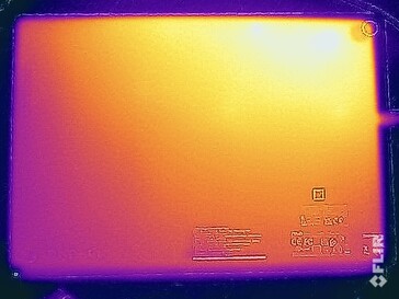 Surface temperatures stress test (back)