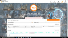 3DMark Time Spy (stress test)