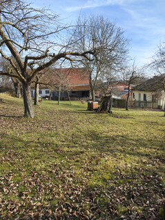 Main camera (no zoom)