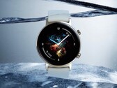 The Watch GT 2 series is on the verge of being replaced, but not by another GT smartwatch. (Image source: Huawei)