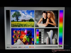 Wide IPS viewing angles. Colors and contrast degrade only from wide angles