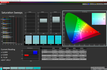 Saturation (screen color standard [top], target color space P3)