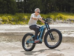 The Cyrusher Hurricane e-bike has a 1,000W Bafang motor. (Image source: Cyrusher)