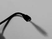 The reversible Type-C connector will be used for the new USB4 standard. (Source: Notebookcheck)