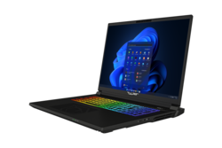 Tulpar S8 V1.1 18" gaming laptop
