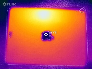 Heat map back