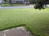 Multiple pass result before edge cutting