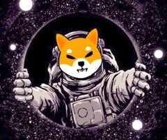 Shiba Inu now supported by more merchants (Source: Steamindia)