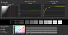 CalMAN - Grayscale (sRGB reference color space)