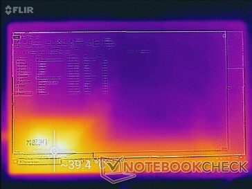 Temperature map (front)