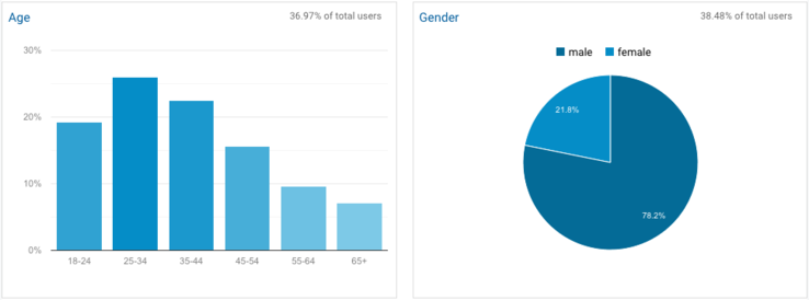 Google Analytics Demographics