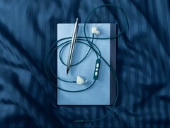 The Bose Noise Cancelling Wired Earbuds have ANC and connect via USB-C.