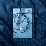 The Bose Noise Cancelling Wired Earbuds have ANC and connect via USB-C.