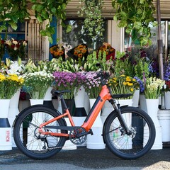 The Momentum Vida E+ e-bike offers a total range of 55 miles (88.5 km) on a single charge (Image source: Momentum)