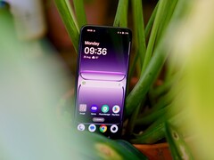 ★VIVO Vivo Z1x - Notebookcheck.net External Reviews