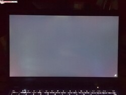 Barely any backlight bleeding (shown enhanced here)