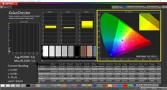 CalMAN ColorChecker (profile: Display P3)