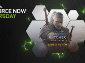 Wild Hunt is now playable via GeForce NOW. (Source: NVIDIA)