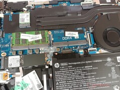 HP ProBook 445 G7 - Free RAM slot