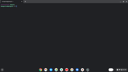 Linux environment under Chrome OS