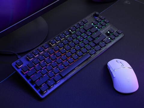Turtle Beach Vulcan II TKL gaming keyboard next to mouse on a desktop