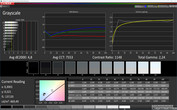 CalMAN: Grayscale - Profile: Professional, sRGB target color space