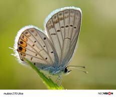 (Image source: ZTE)